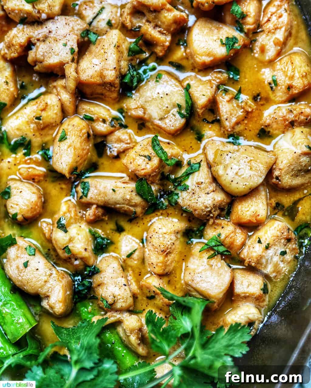 Golden Garlic Butter Chicken Morsels 11 Close up shot of soy garlic butter chicken bites in a pan