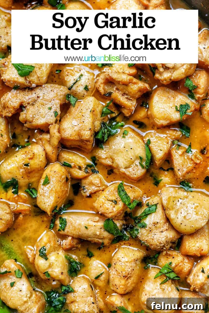 Golden Garlic Butter Chicken Morsels 13 Soy garlic butter chicken bites with text overlay for Pinterest