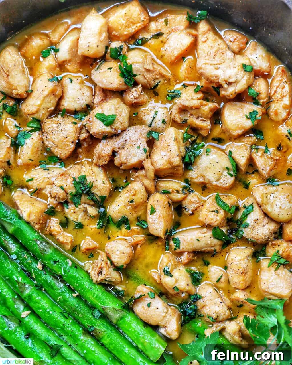 Golden Garlic Butter Chicken Morsels 10 Garlic butter chicken bites in a skillet, close-up view