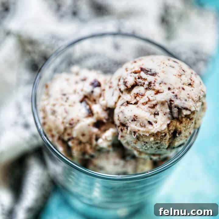 Decadent Dairy-Free Chocolate Chip Delight 11 A serving of creamy dairy-free chocolate chip ice cream in a glass dish, ready to be enjoyed.