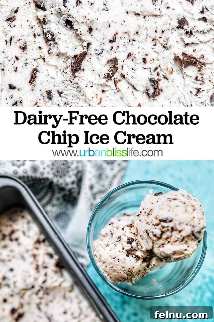 Decadent Dairy-Free Chocolate Chip Delight 12 A vibrant vertical pin image featuring dairy-free chocolate chip ice cream with text overlay: 'Creamy Dairy-Free Chocolate Chip Ice Cream - Baskin Robbins Copycat!'