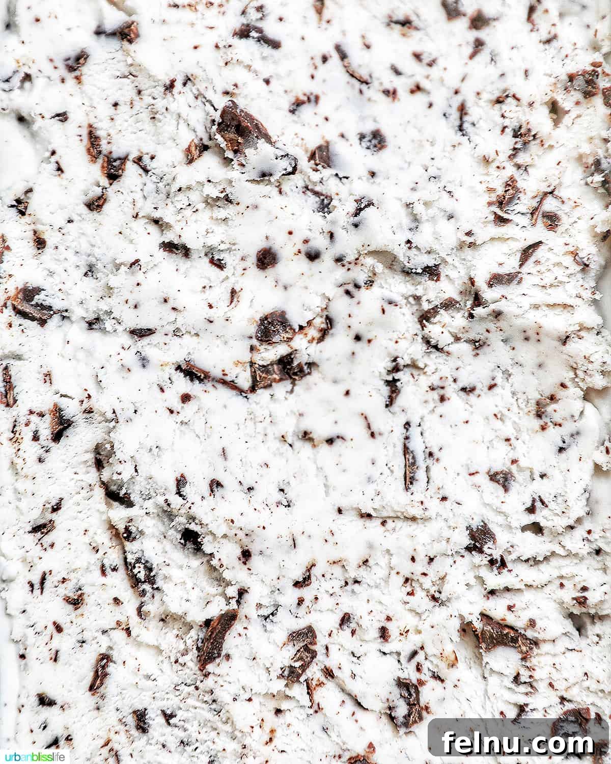 Decadent Dairy-Free Chocolate Chip Delight 4 Close-up view of dairy-free chocolate chip ice cream in a metal pan, showing the creamy base and generous chocolate flakes.