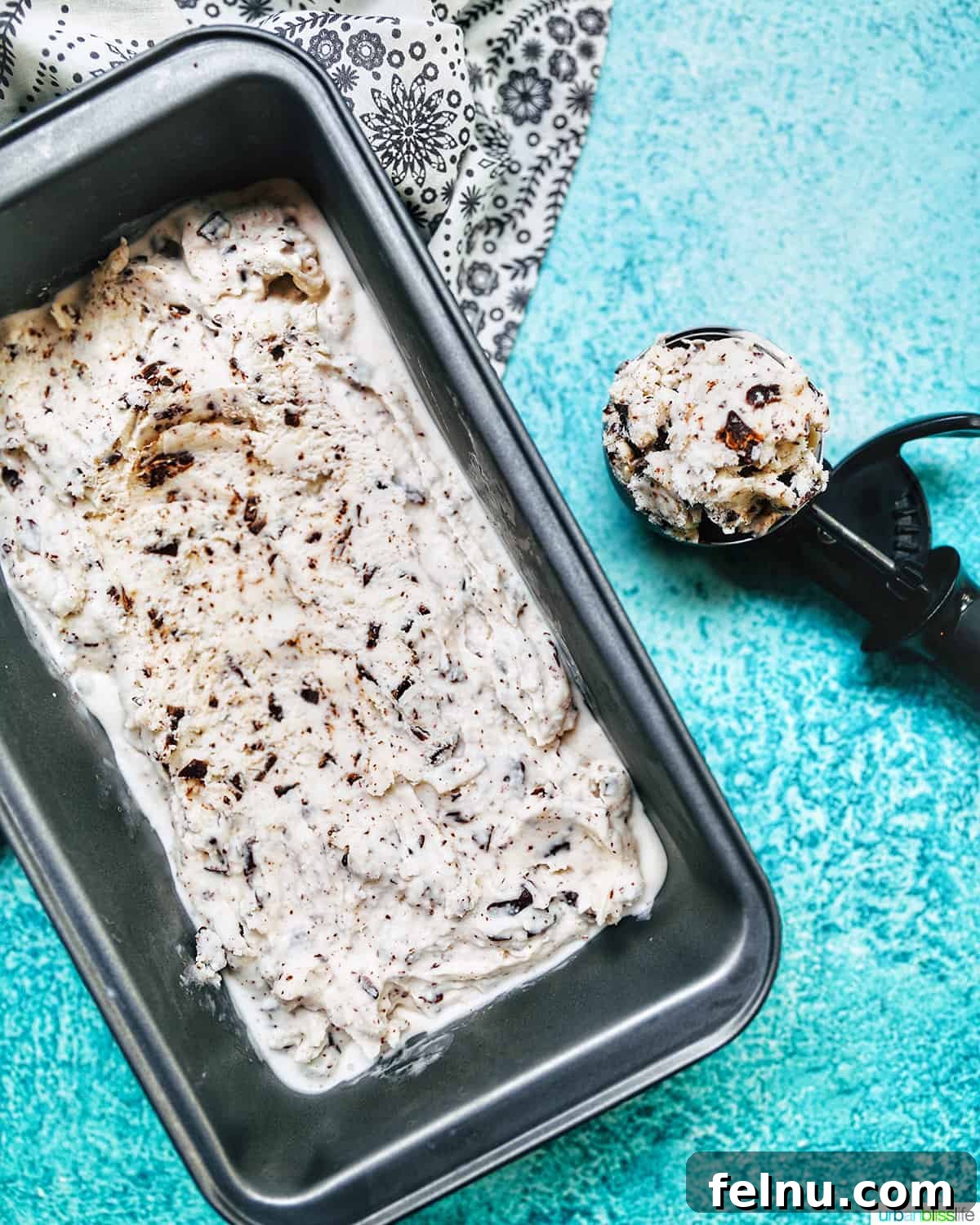 Decadent Dairy-Free Chocolate Chip Delight 10 An ice cream scoop presenting a perfectly formed scoop of dairy-free chocolate chip ice cream, next to a pan of the frozen dessert.