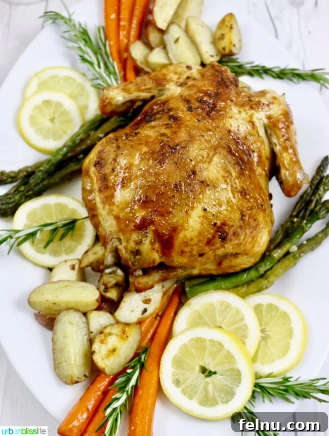 Costco's Complete Monthly Meal Solution 18 Easy Lemon Herb Roast Chicken with roasted vegetables, recipe on UrbanBlissLife.com