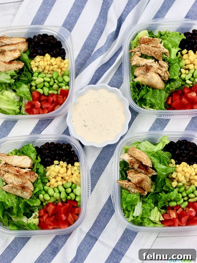Costco's Complete Monthly Meal Solution 3 Southwest BBQ Chicken Salad
