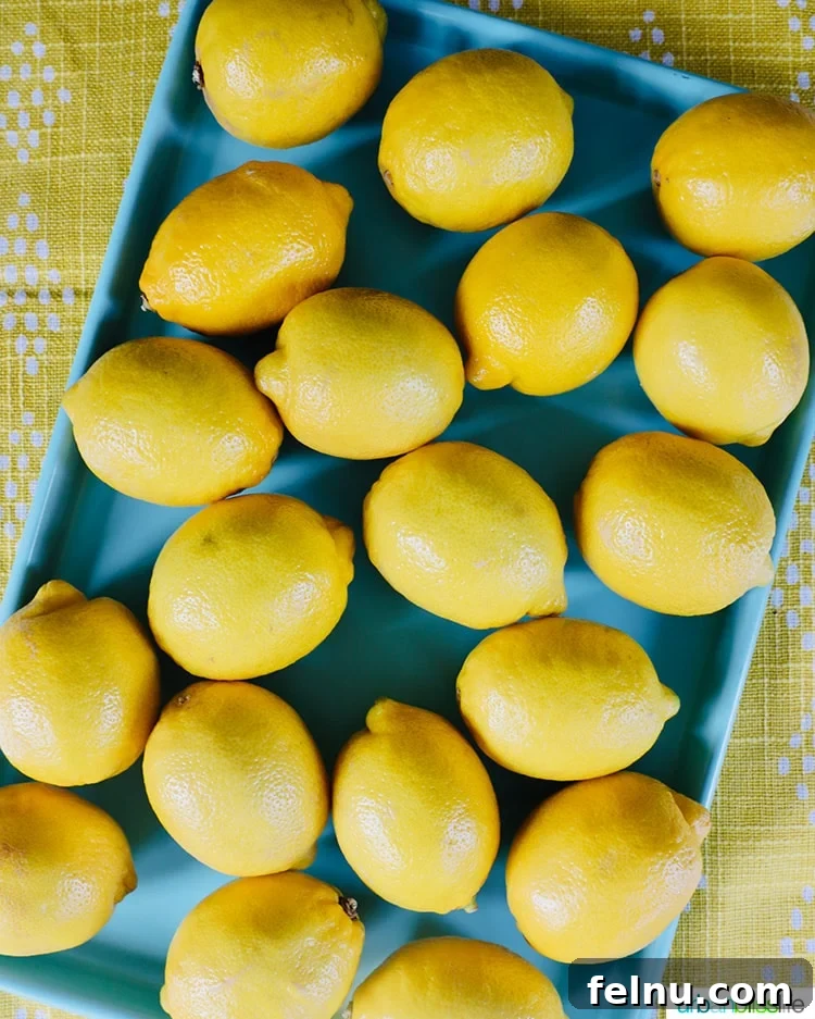 Costco's Complete Monthly Meal Solution 8 whole lemons