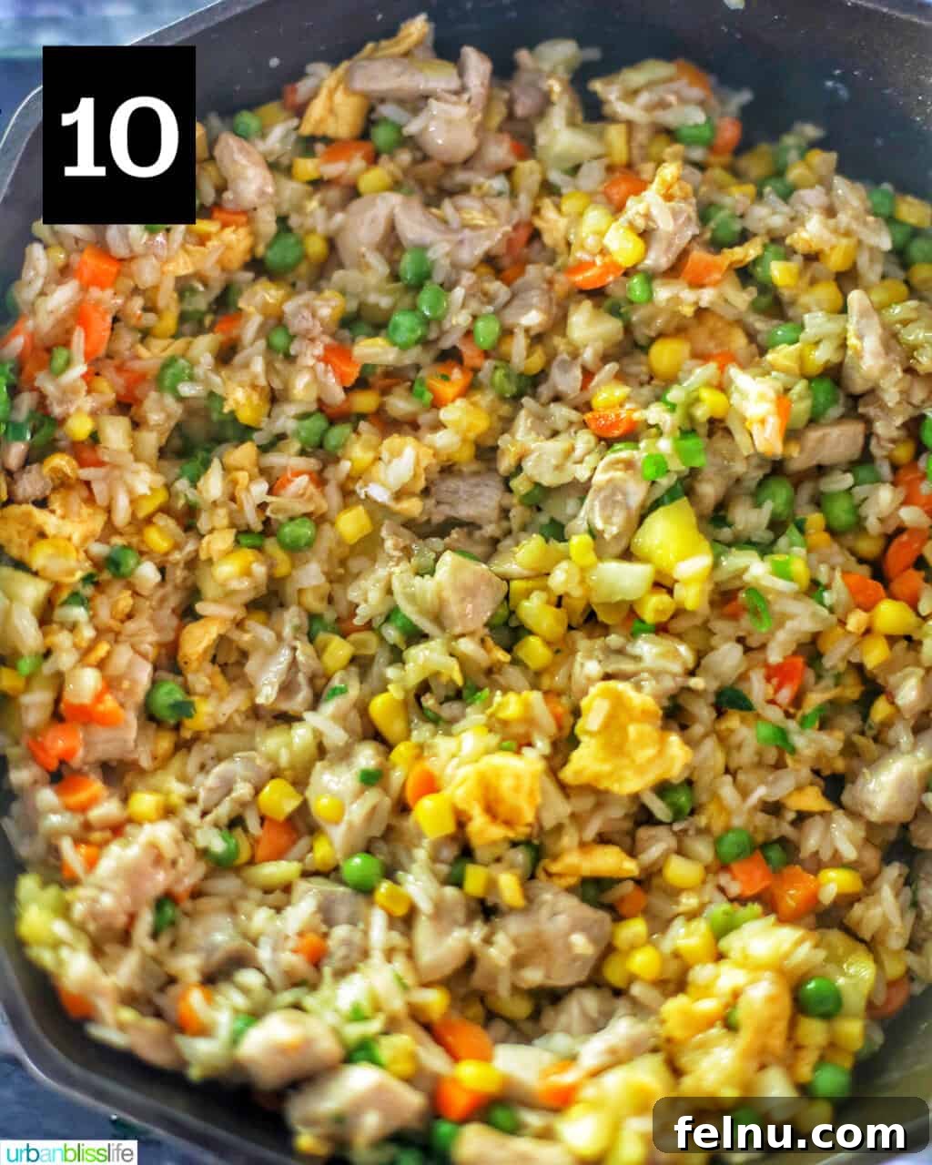 Pineapple Paradise Chicken Fried Rice 15 finished fried rice