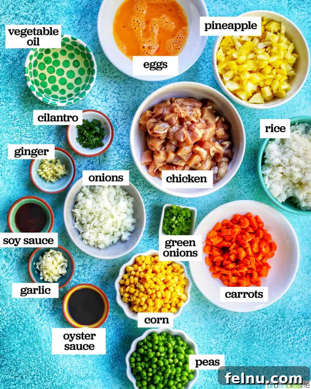 Pineapple Paradise Chicken Fried Rice 3 ingredients to make chicken pineapple fried rice