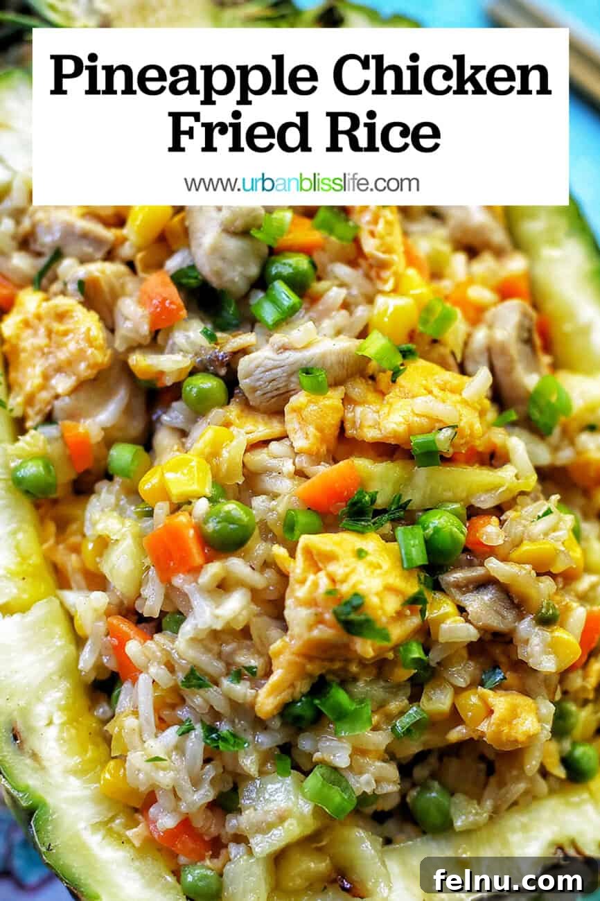 Pineapple Paradise Chicken Fried Rice 21 pineapple fried rice with text overlay