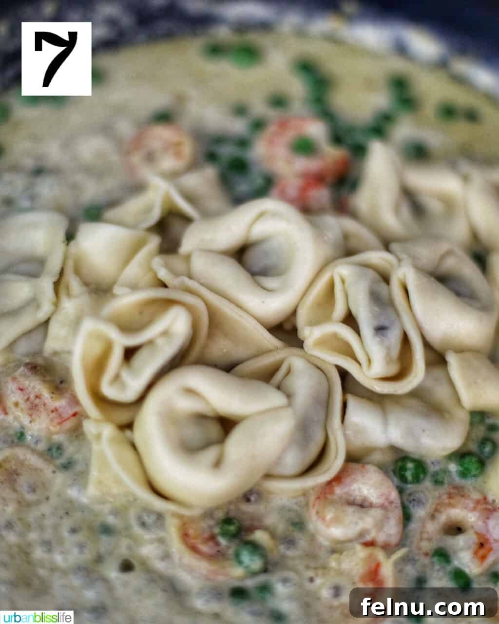 Savory Shrimp & Tortellini Dairy-Free Delight 11 img 73998 10