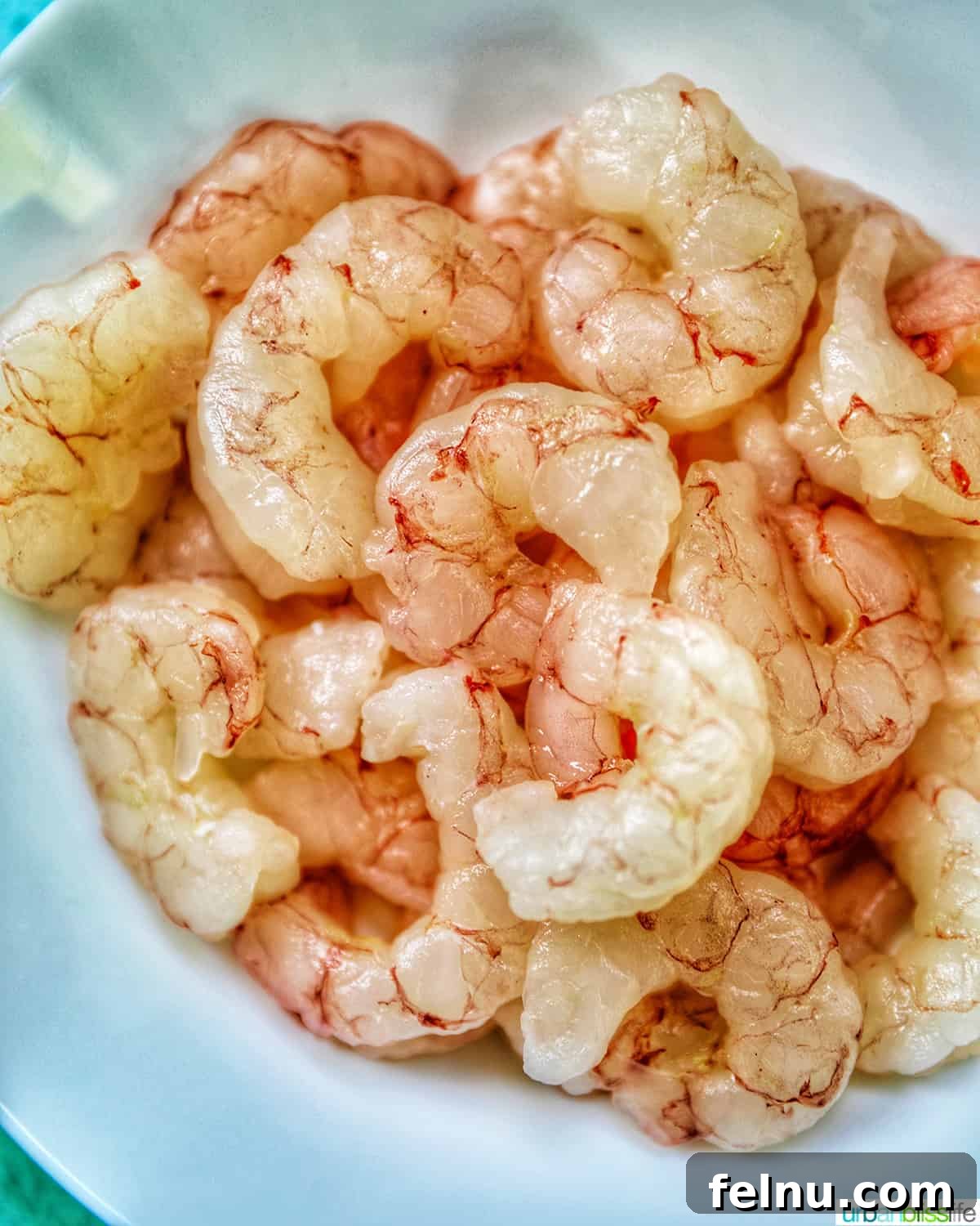 Savory Shrimp & Tortellini Dairy-Free Delight 4 raw shrimp in a white bowl