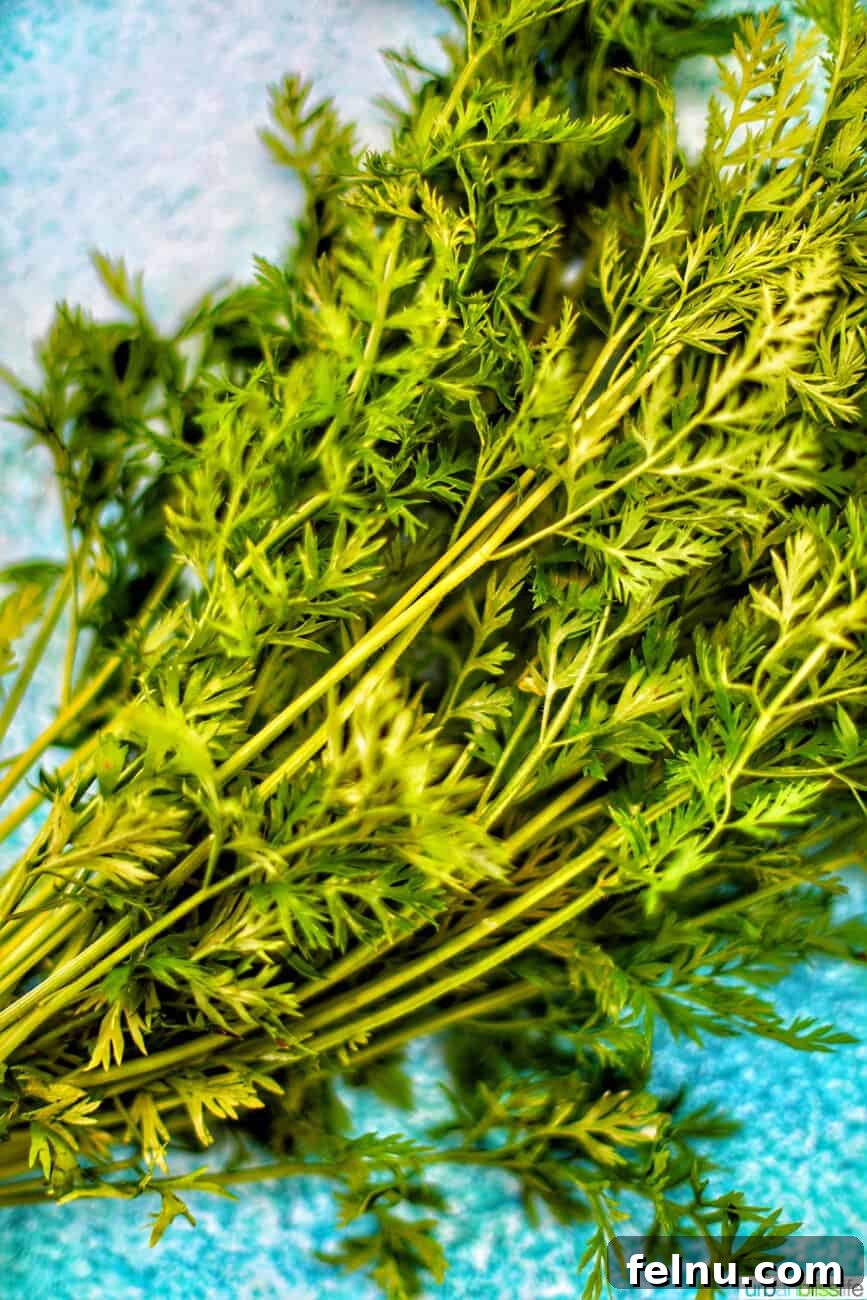 Fresh Carrot Tops