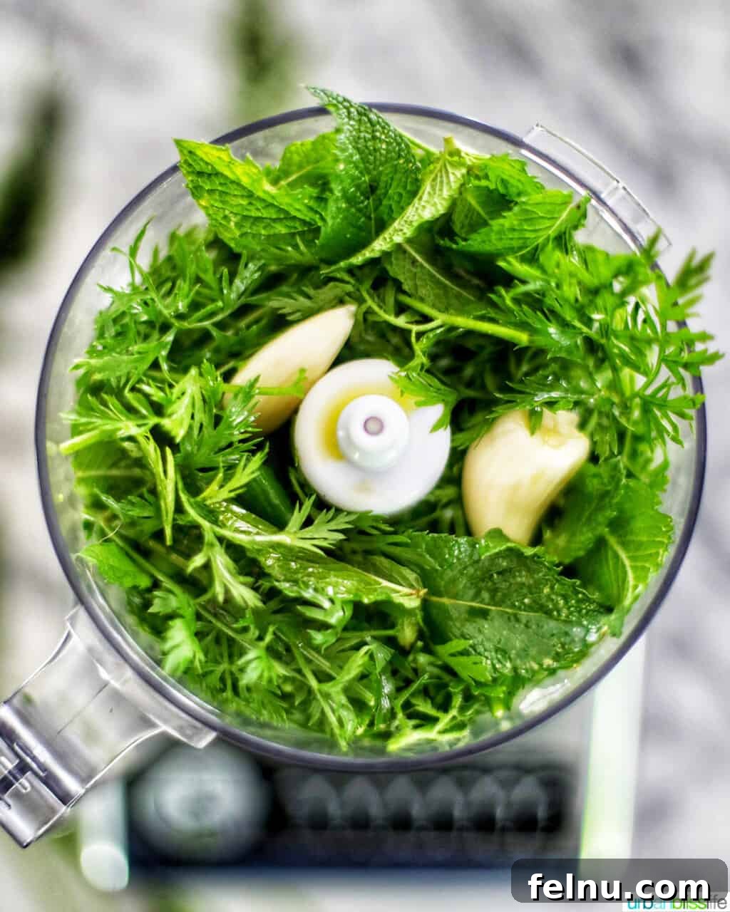 Carrot Top Pesto Ingredients in Food Processor
