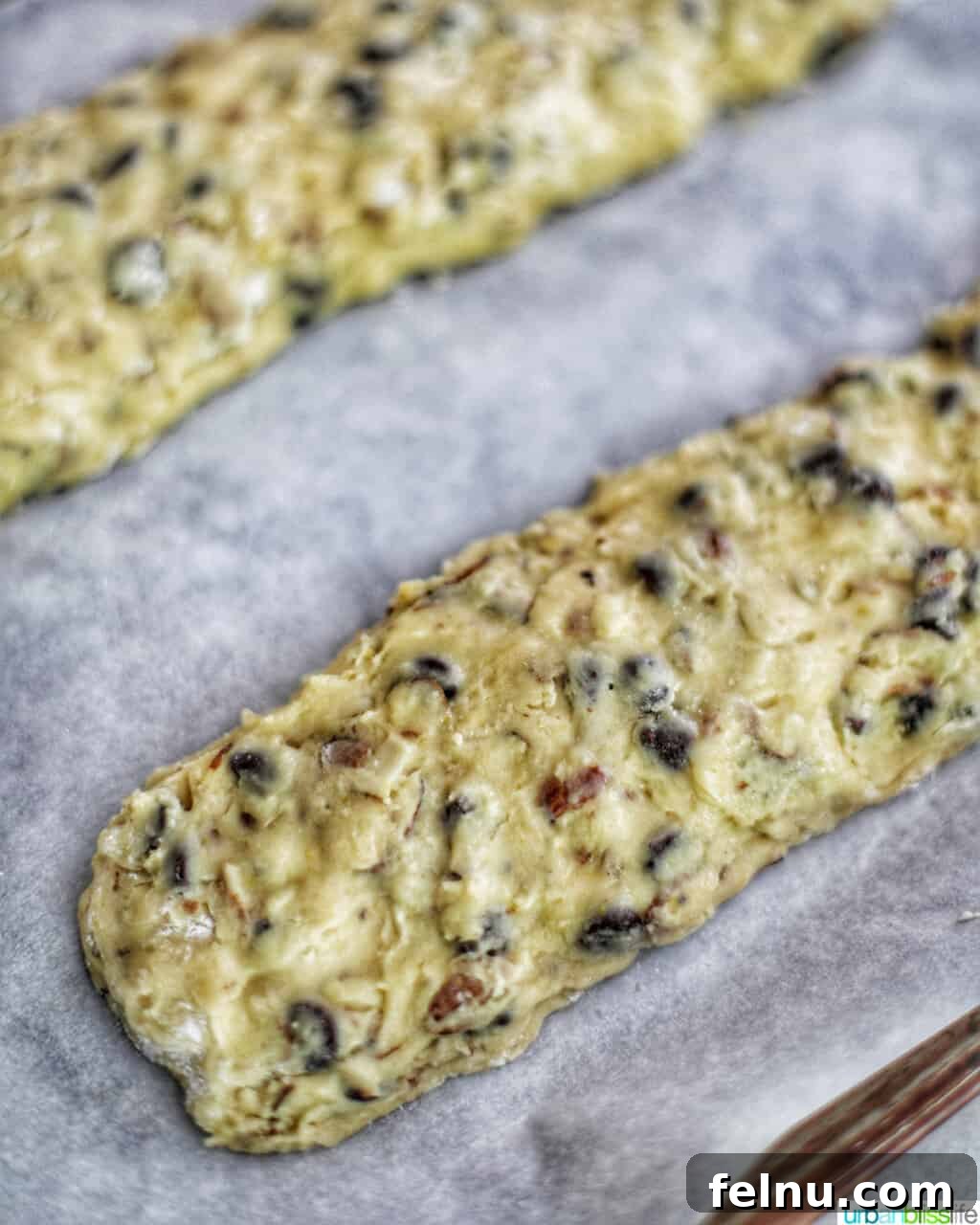 Toasted Almond Chocolate Chip Biscotti 11 two logs of chocolate chip almond biscotti dough on a baking sheet