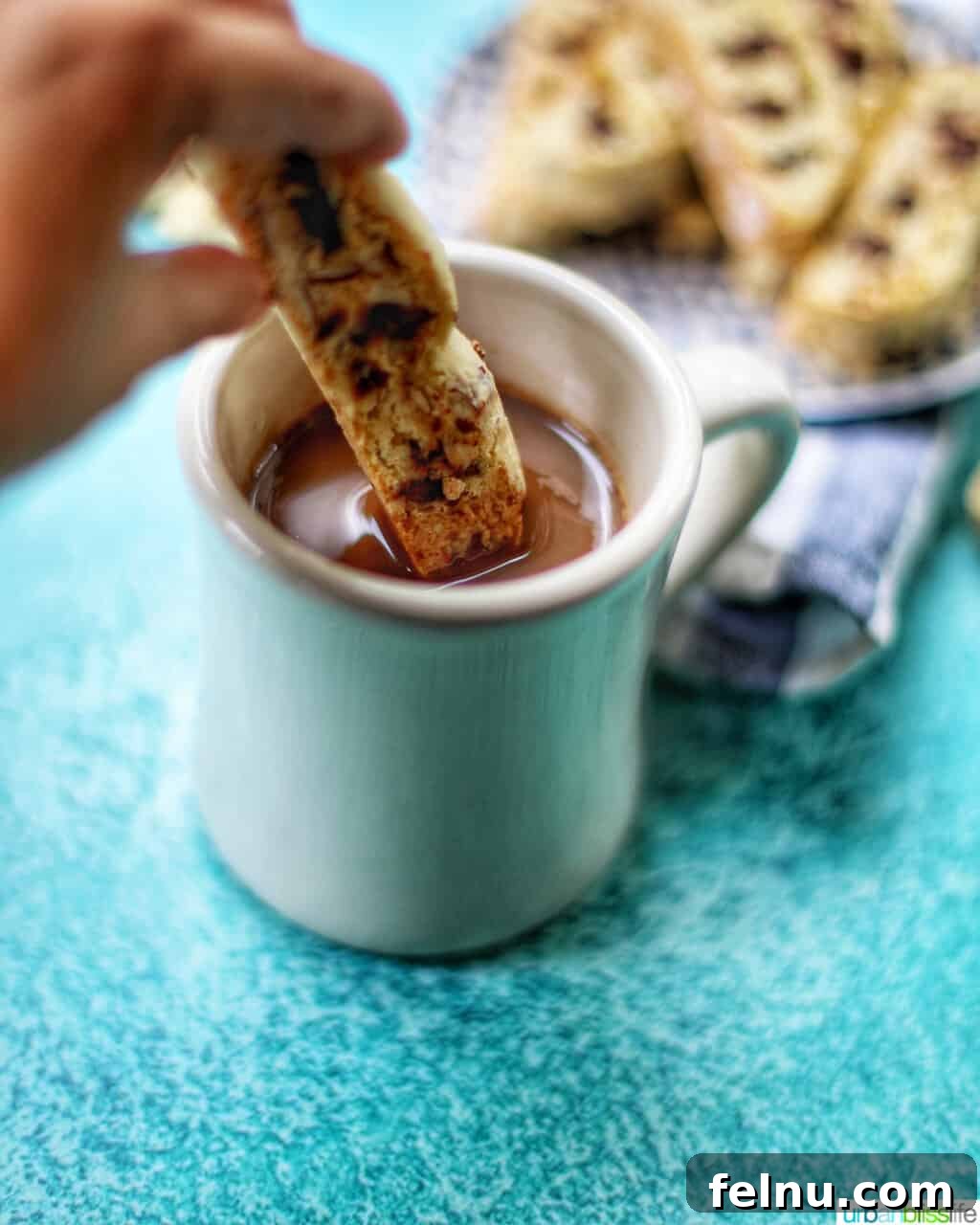 Toasted Almond Chocolate Chip Biscotti 15 a chocolate chip almond biscotti being dipped into a cup of coffee