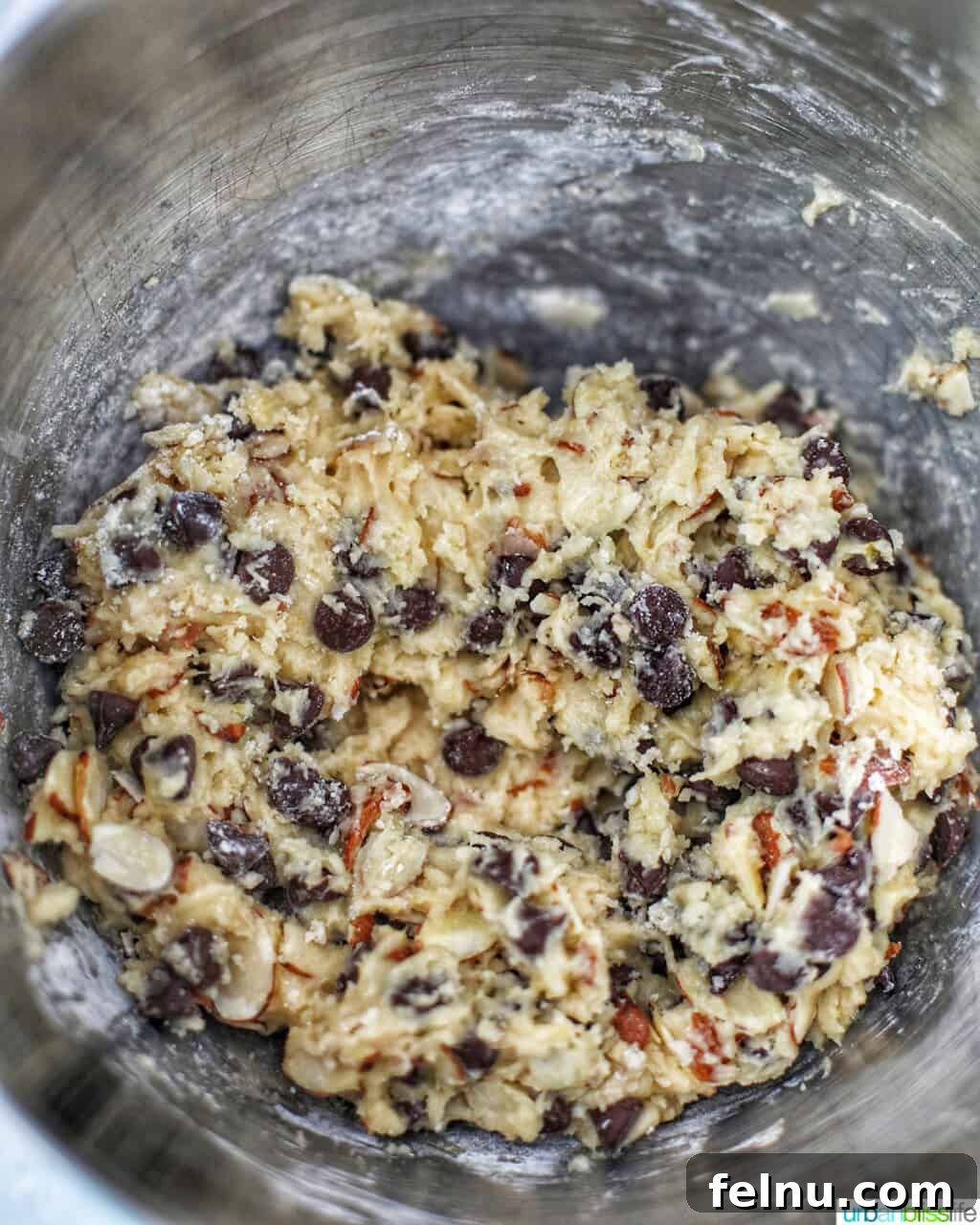 Toasted Almond Chocolate Chip Biscotti 10 finished chocolate chip almond biscotti dough ready for forming