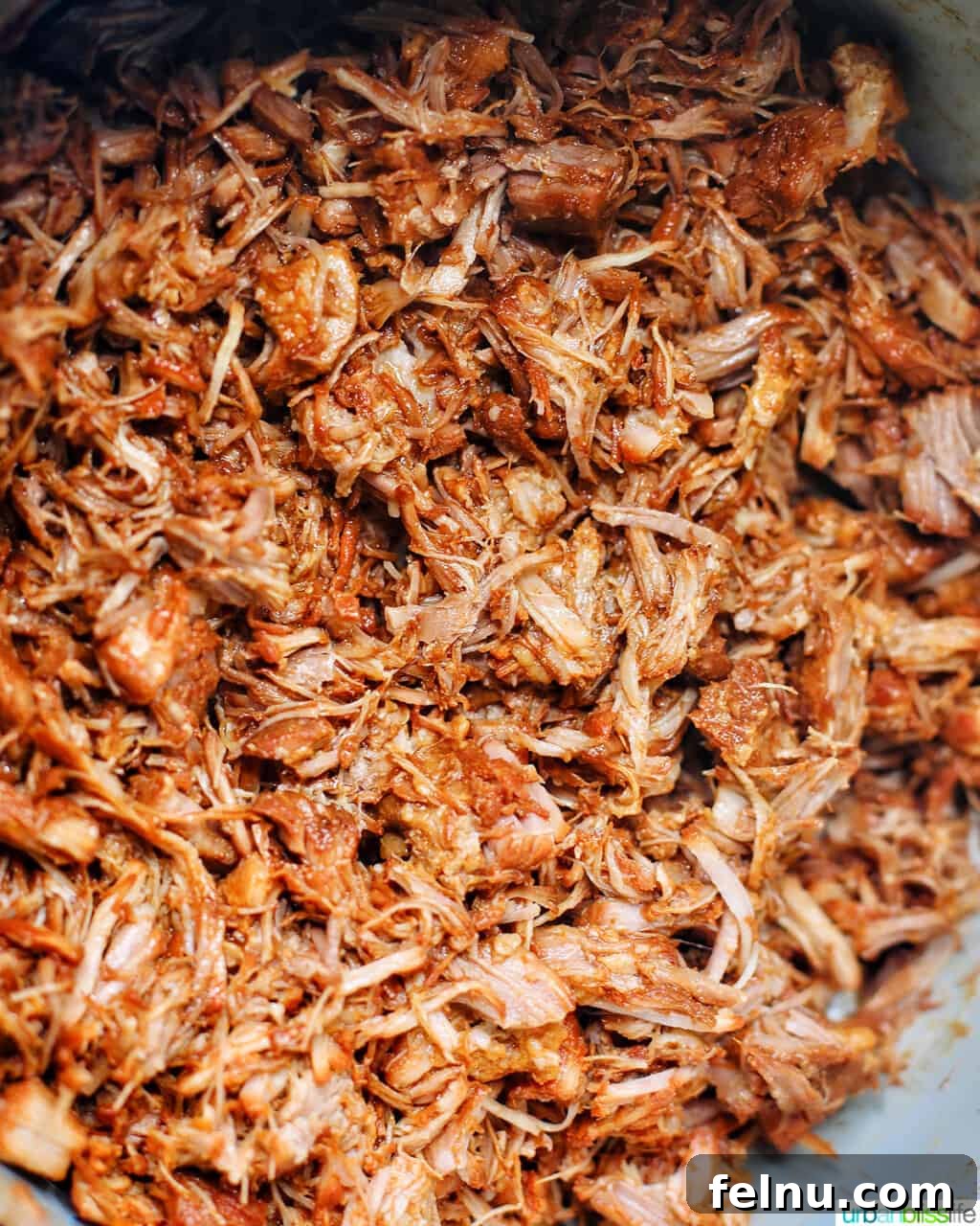 Slow Cooker Pulled Pork Perfection 12 Shredded Pulled Pork in Instant Pot Ninja Foodi