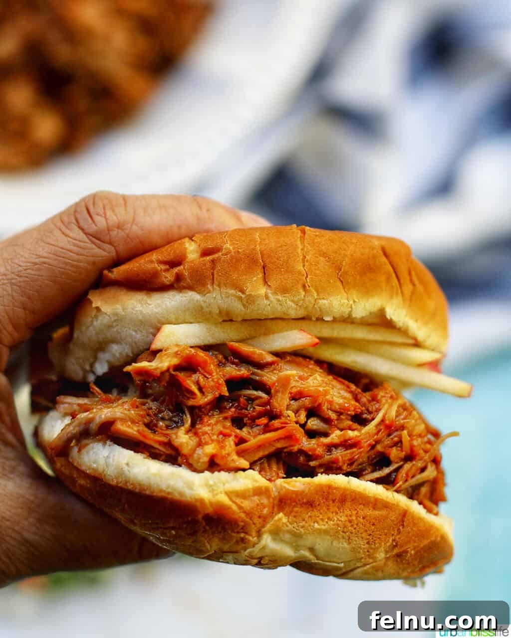 Slow Cooker Pulled Pork Perfection 16 Hand Holding a Pulled Pork Sandwich