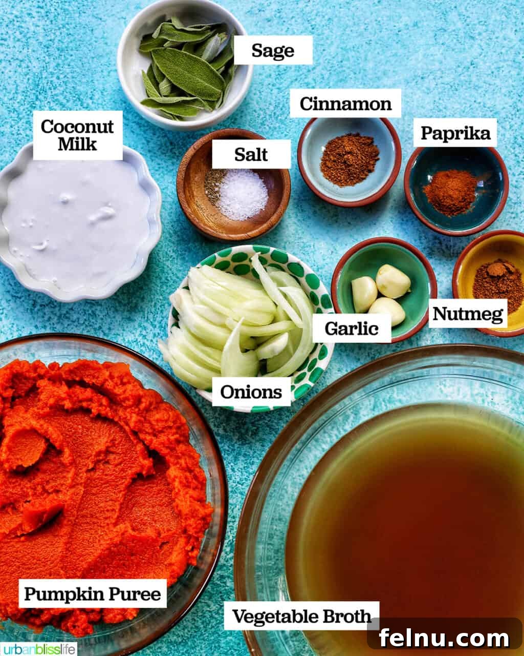 A collection of fresh ingredients laid out for making vegan pumpkin soup, including canned pumpkin puree, vegetable broth, onions, garlic, and various spices.