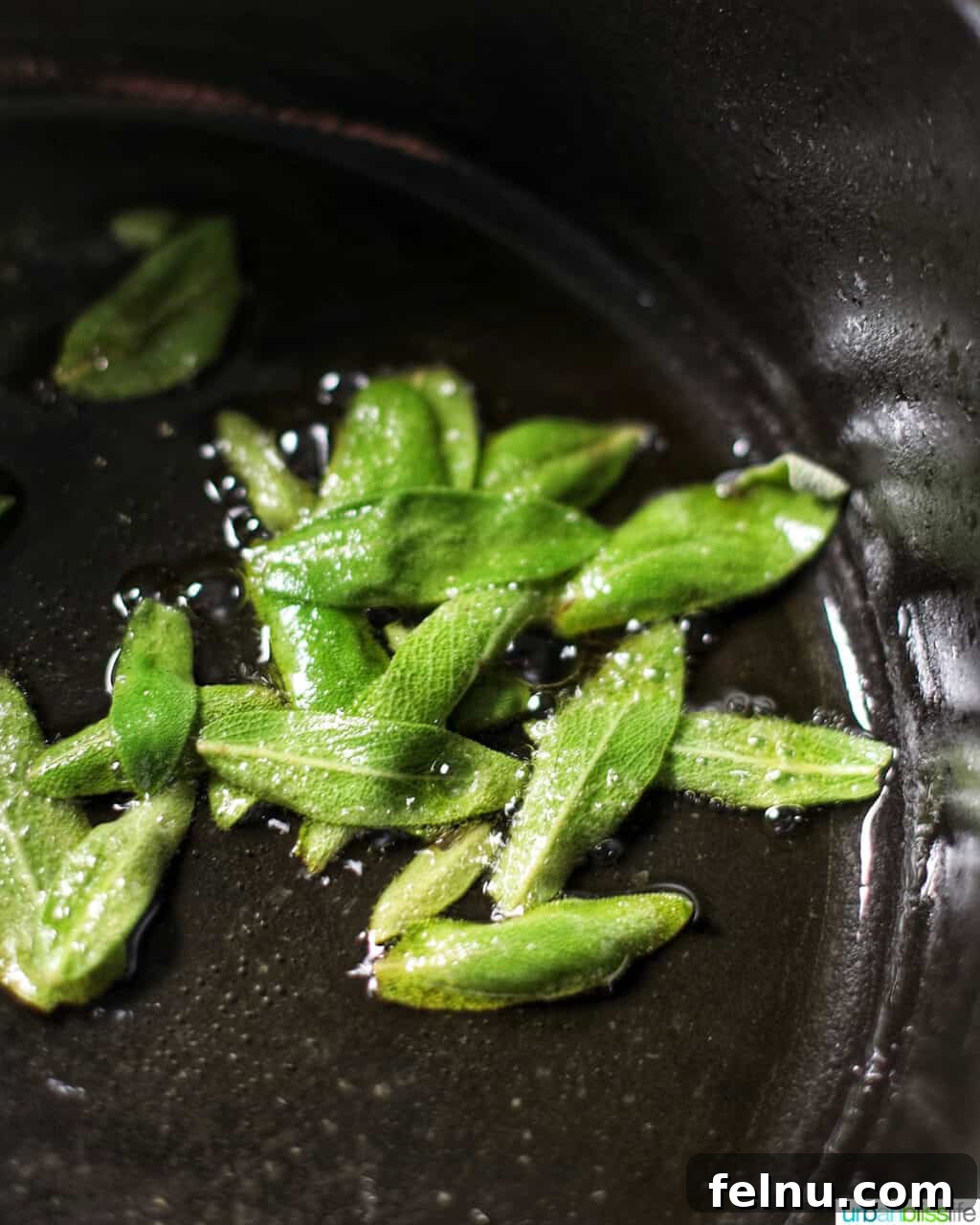 Fresh sage leaves being carefully sautéed in olive oil within a stockpot until crispy.