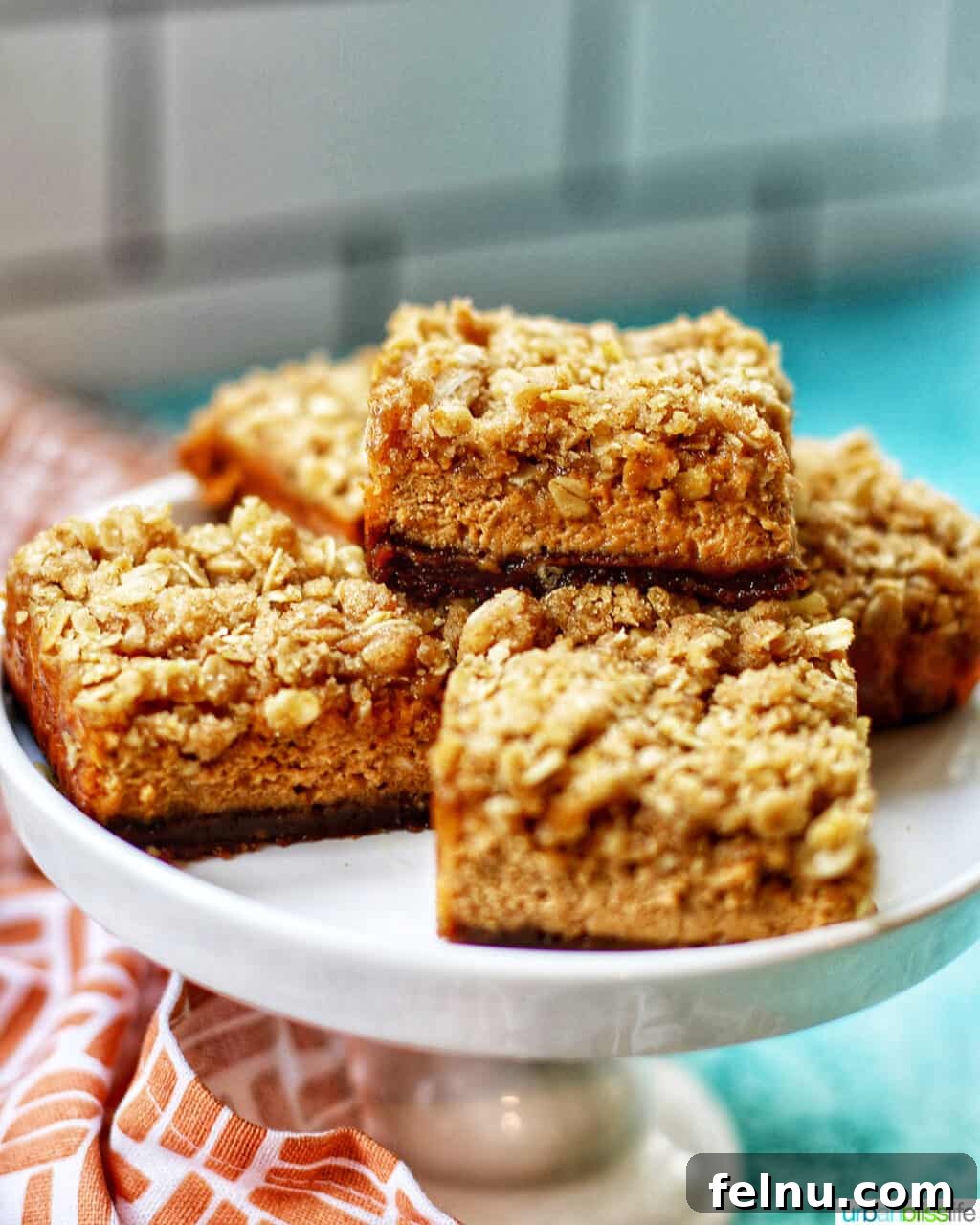 Autumn Spice Cheesecake Squares 18 A beautifully arranged plate of Pumpkin Cheesecake Bars with Gingersnap Crust.