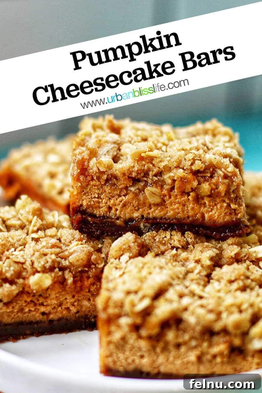 Autumn Spice Cheesecake Squares 19 Pumpkin Cheesecake Bars with text overlay for Pinterest.