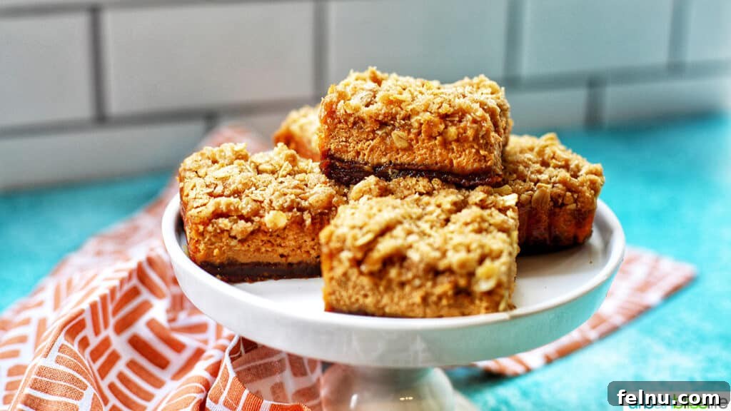 Autumn Spice Cheesecake Squares 4 A close-up of a Pumpkin Cheesecake Bar with Gingersnap Crust, showcasing the texture and layers.