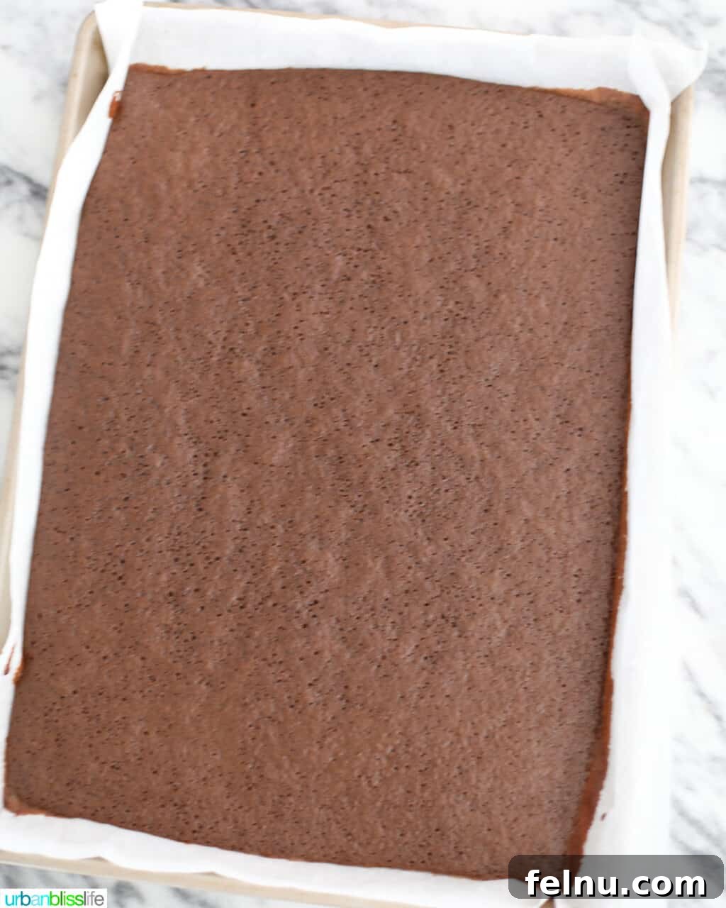 Gingerbread Swirl Cake 13 Gingerbread Cake Roll freshly baked.