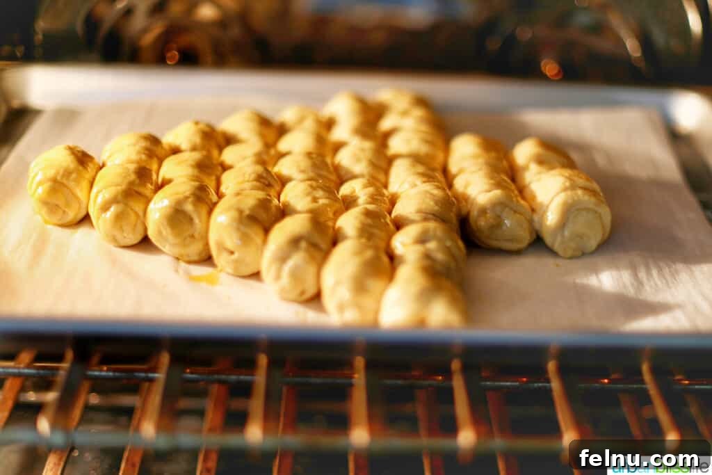 Christmas Tree Pull-Apart Bread
Festive Christmas Tree Bread 14 Christmas Tree Pull-Apart Bread going into the oven