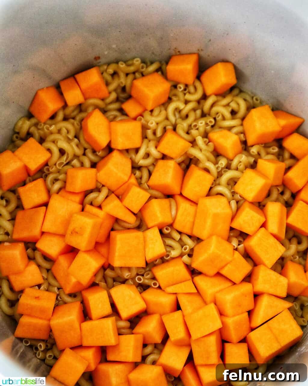 Savory Butternut Instant Pot Mac and Cheese 11 Cubed butternut squash added on top of the macaroni pasta in the pressure cooker pot, layered before cooking.