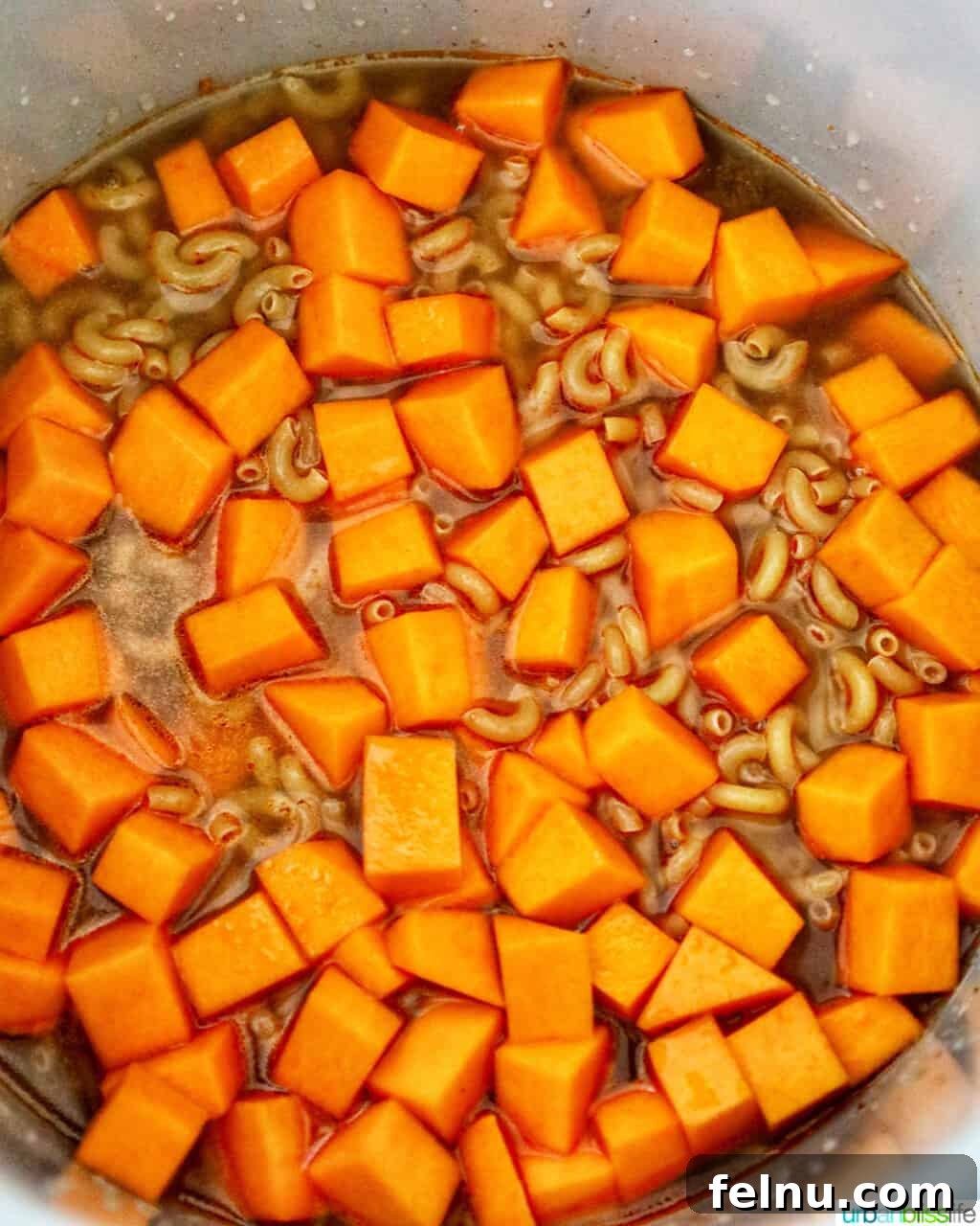Savory Butternut Instant Pot Mac and Cheese 12 Pouring chicken broth over the butternut squash and macaroni in the pressure cooker, ensuring ingredients are submerged for even cooking.
