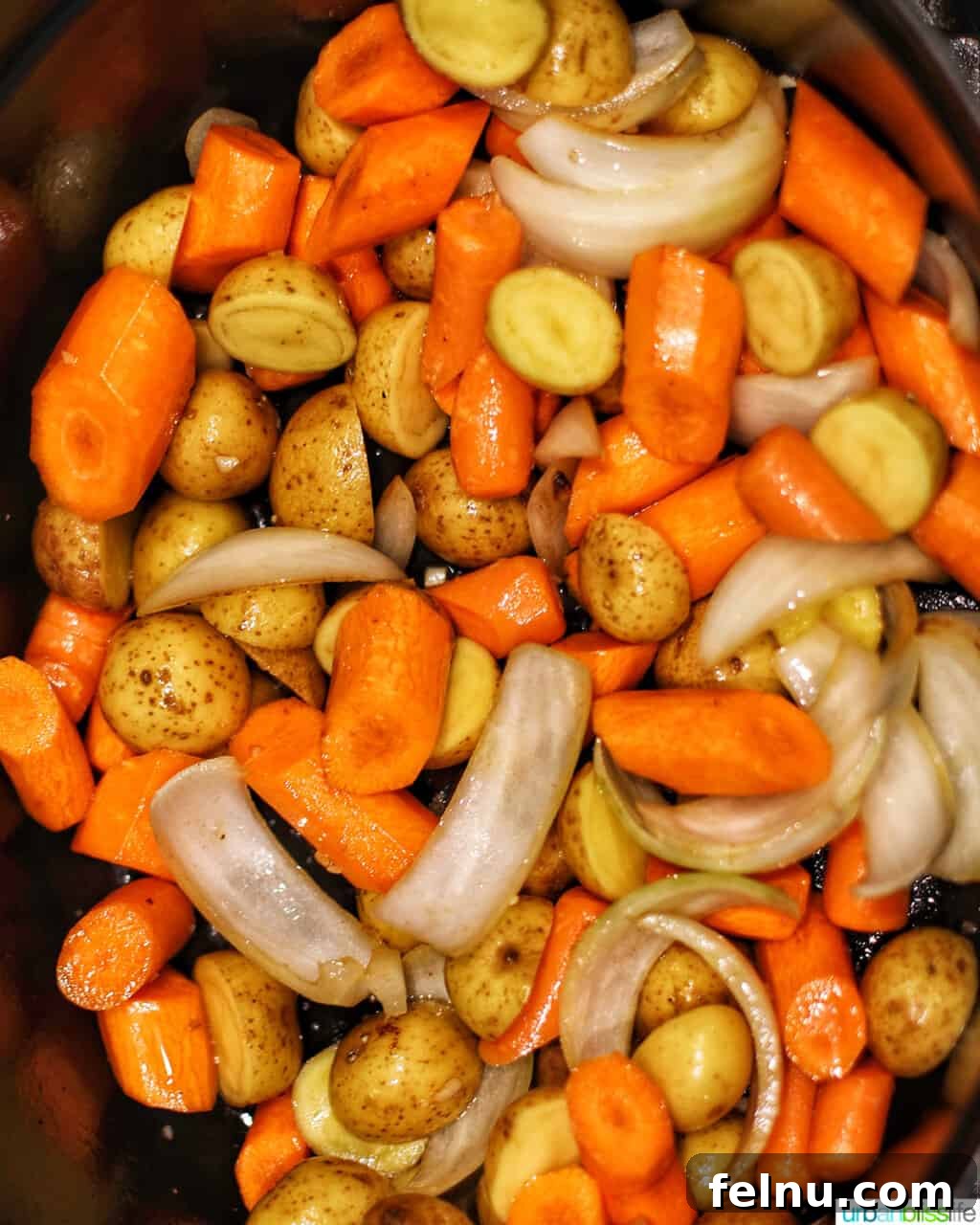 Succulent Dutch Oven Pot Roast 8 vegetables for pot roast