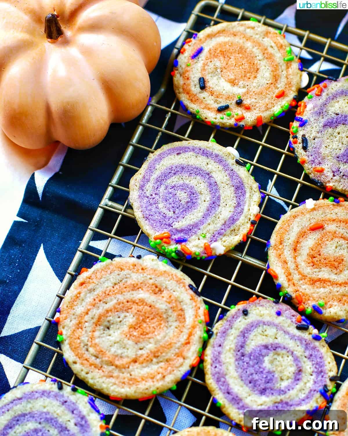 Halloween Swirl Cookies 3 Close-up of Halloween Pinwheel Cookies with a Pumpkin