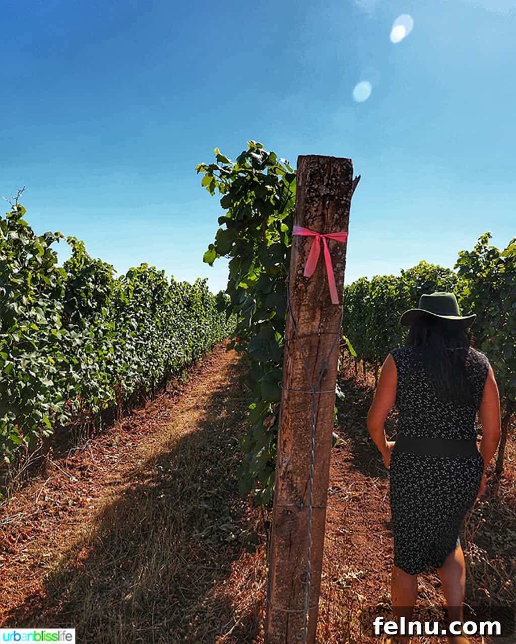 Sip Dundee Oregon Wine Country Guide 13 img 75653 12