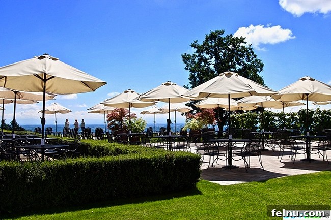 Sip Dundee Oregon Wine Country Guide 22 Dundee Hills Durant Vineyard