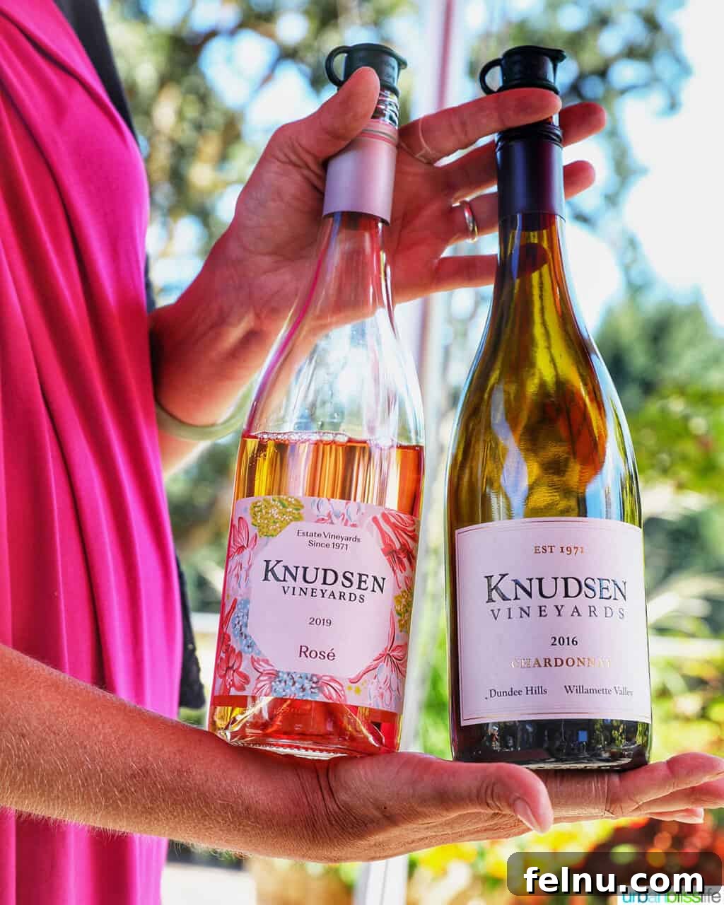 Sip Dundee Oregon Wine Country Guide 32 Knudsen Vineyards Rose and Chardonnay wine bottles