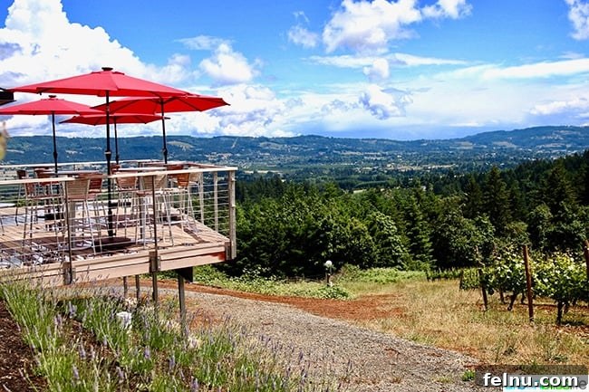 Sip Dundee Oregon Wine Country Guide 33 Lange winery patio