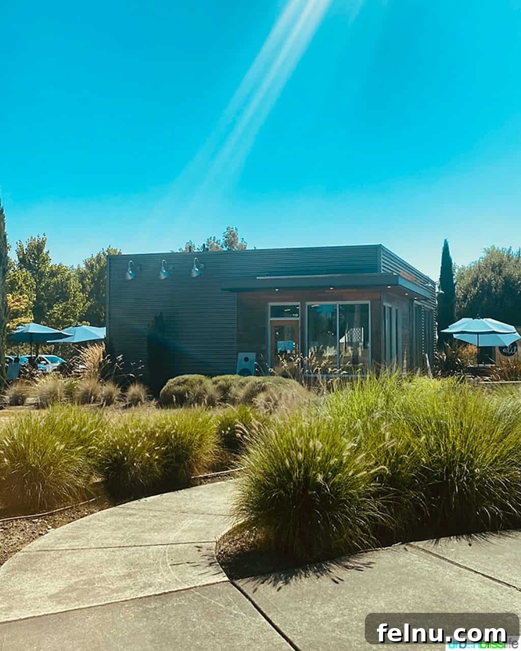 Sip Dundee Oregon Wine Country Guide 5 Alit Wines tasting room exterior blue skies