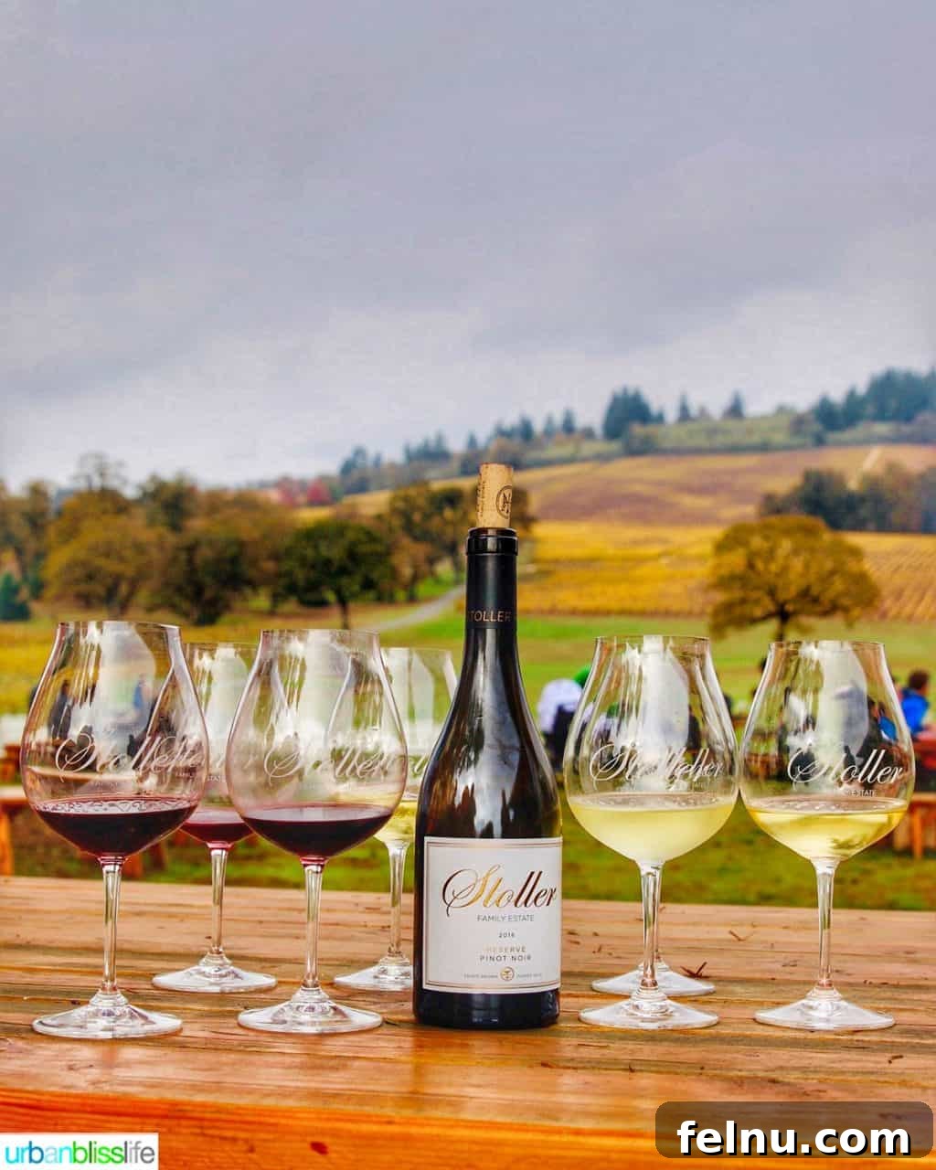 Sip Dundee Oregon Wine Country Guide 41 Stoller wine bottle and red and white wine glasses against vineyard backdrop