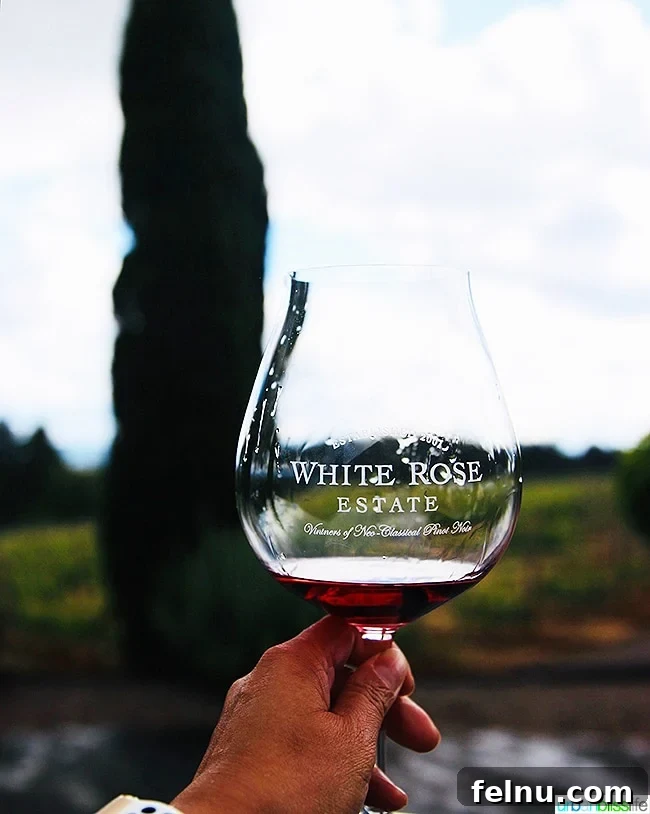 Sip Dundee Oregon Wine Country Guide 43 holding up a Pinot Noir glass with White Rose Cellars red wine