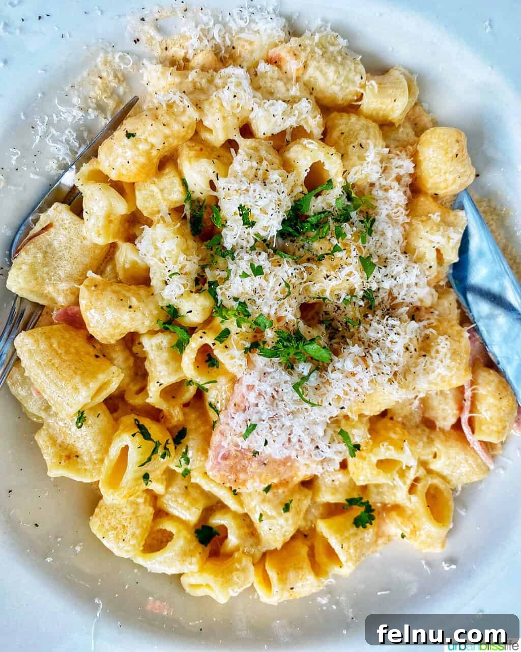 Portland, Oregon: A Food Lover's Paradise 11 Rigatoni Pomodoro e Prosciutto at Allora restaurant, showcasing the restaurant's commitment to serving authentic and flavorful Italian dishes.