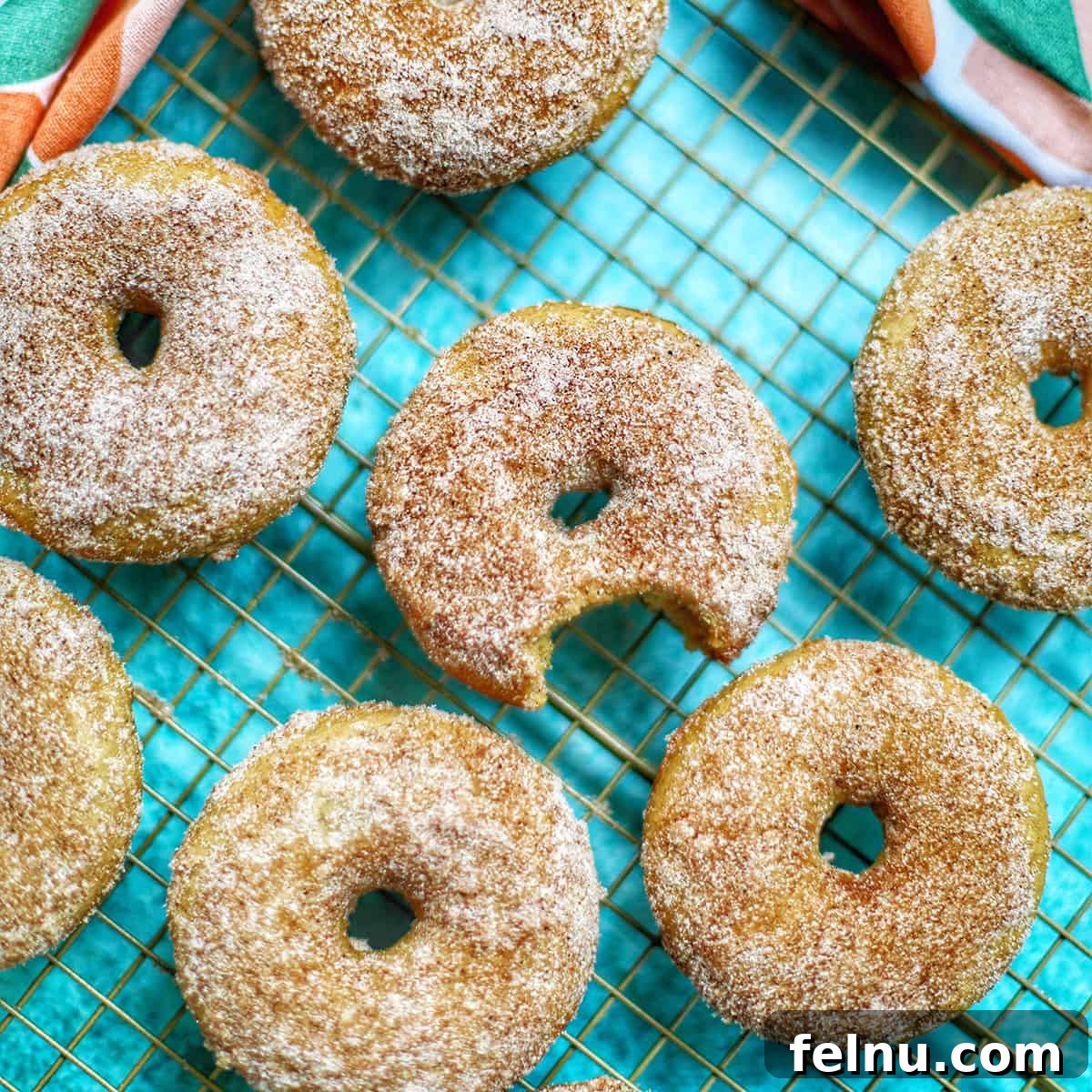Baked Apple Cinnamon Donuts with a sweet glaze.