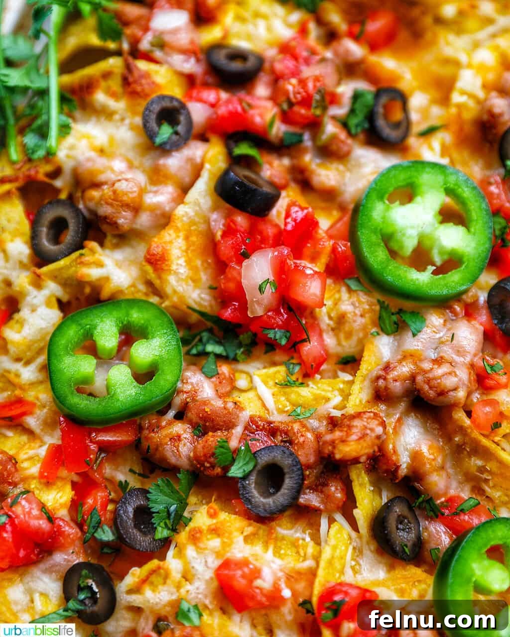 One-Pan Veggie Tex-Mex Nacho Fiesta 12 Close-up of freshly baked Sheet Pan Tex Mex Vegetarian Nachos with melted cheese and fresh toppings