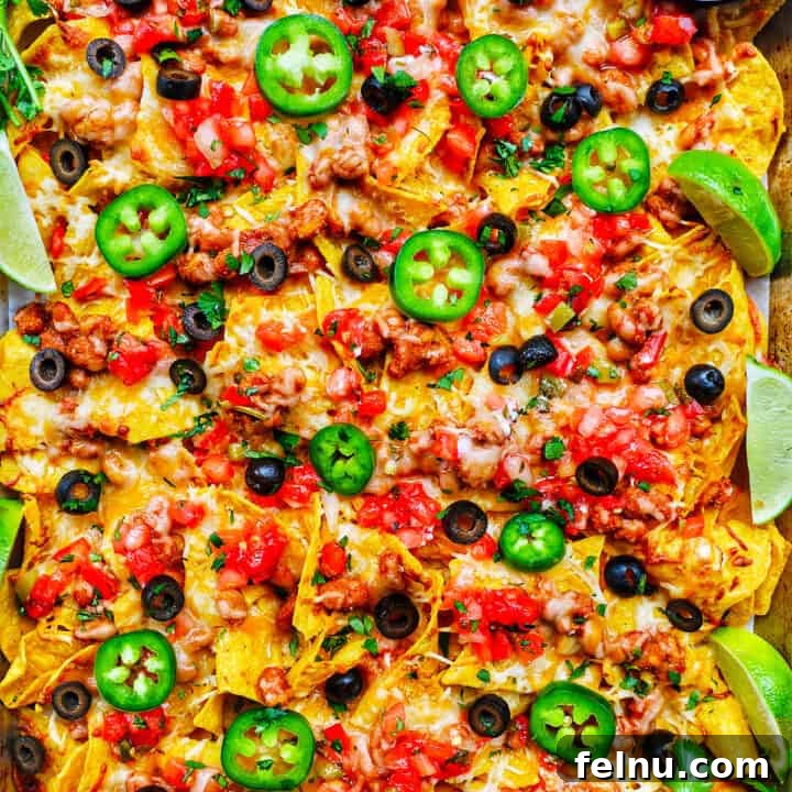 vegetarian tex mex sheet pan nachos.