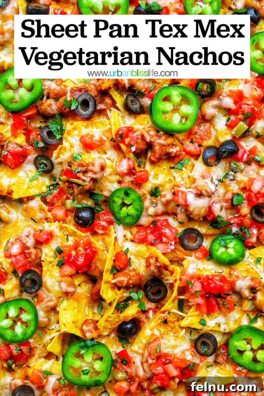 One-Pan Veggie Tex-Mex Nacho Fiesta 15 Sheet Pan Tex Mex Vegetarian Nachos with text overlay: Easy, Delicious, Vegetarian