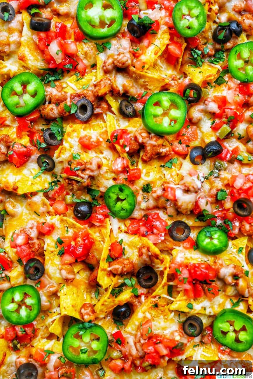 One-Pan Veggie Tex-Mex Nacho Fiesta 3 Closeup of colorful Sheet Pan Tex Mex Vegetarian Nachos with melted cheese and fresh pico de gallo