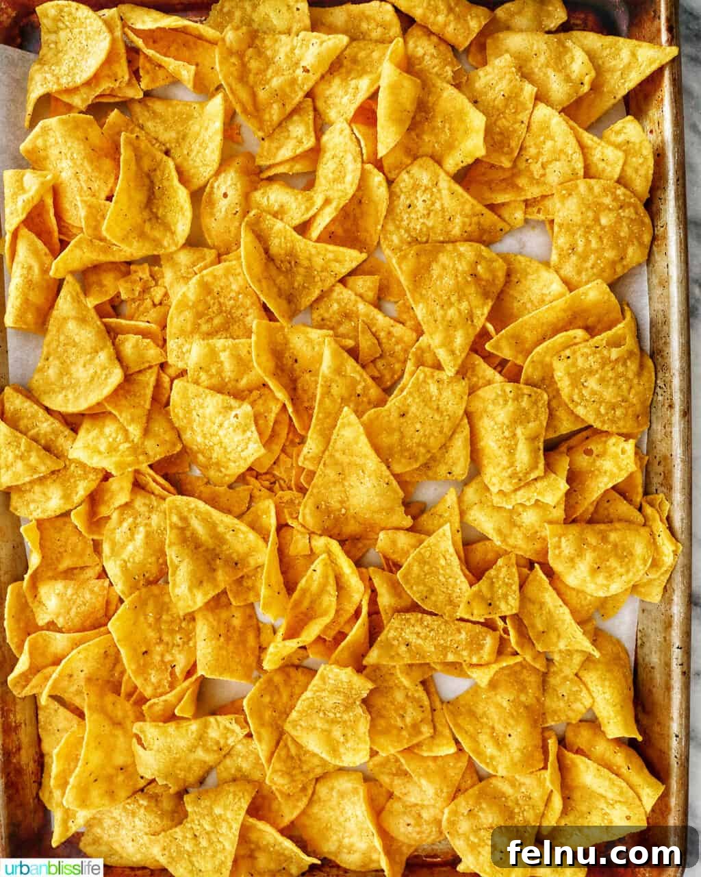 One-Pan Veggie Tex-Mex Nacho Fiesta 6 Tortilla chips laid out on a baking sheet, ready for the first bake