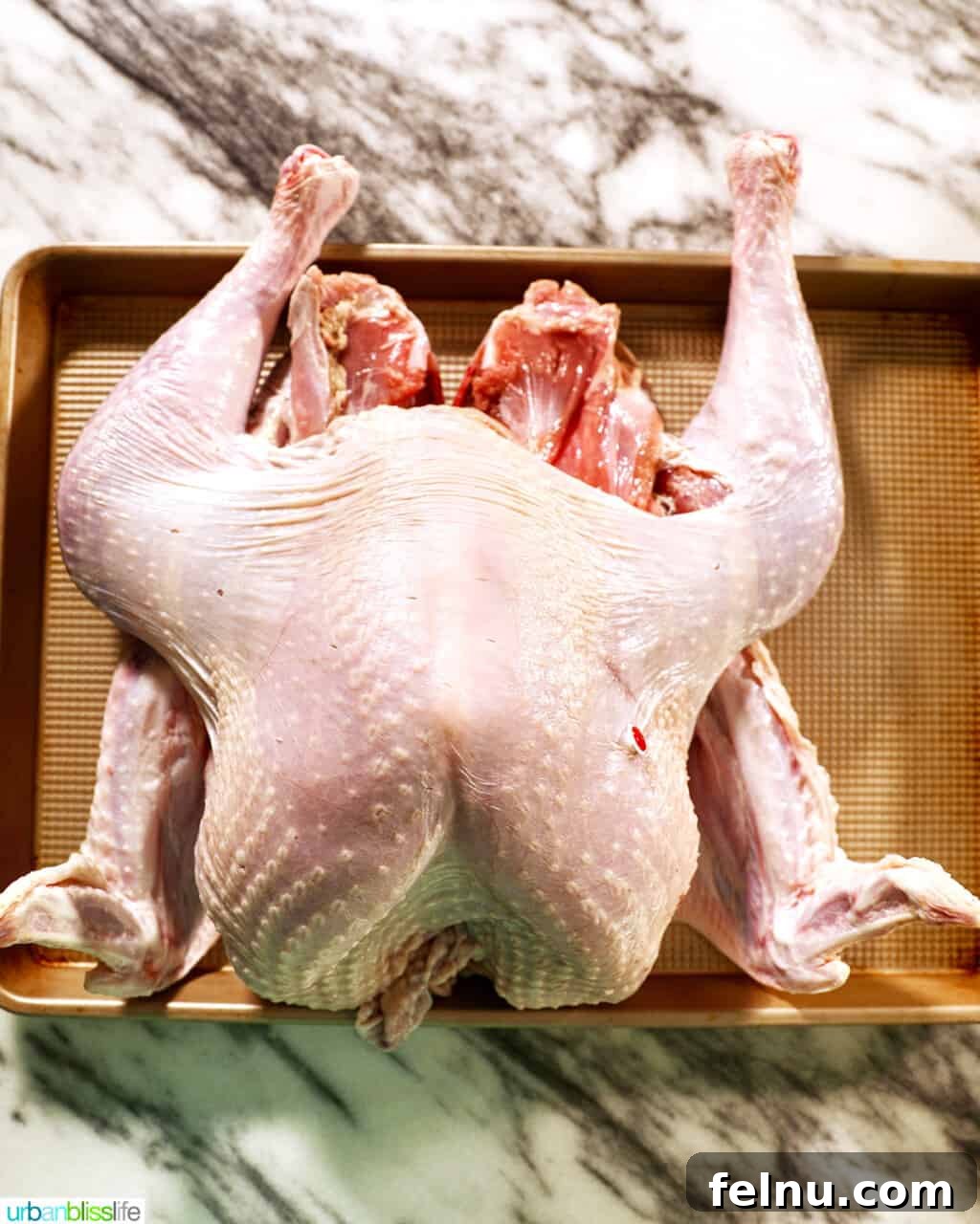 spatchcock turkey