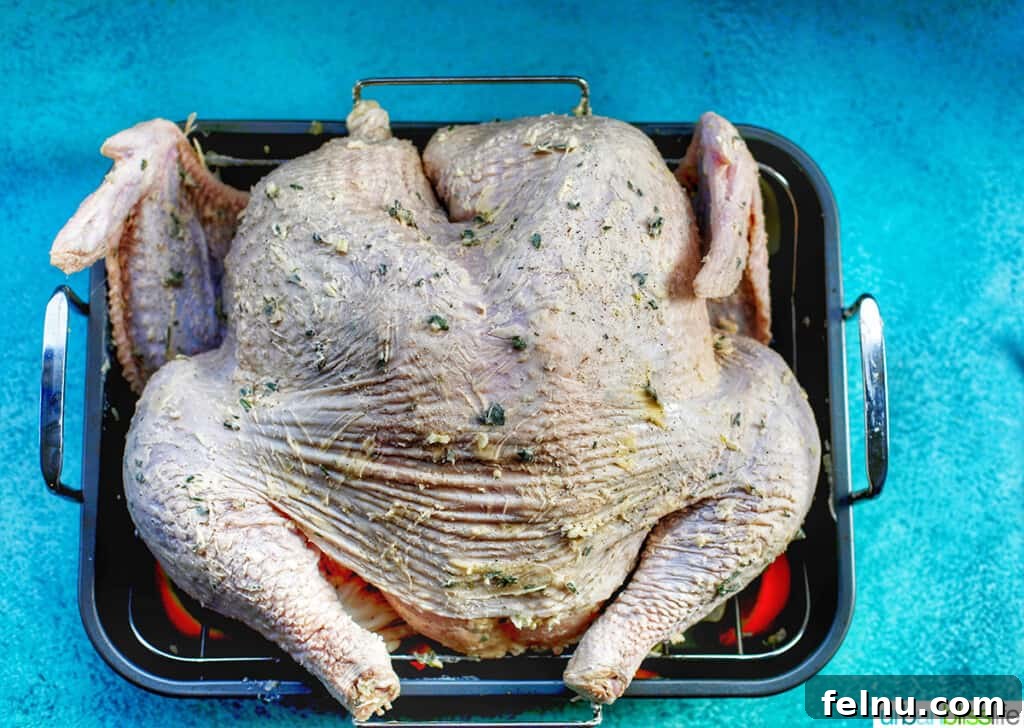 spatchcock turkey on roasting pan with vegetables