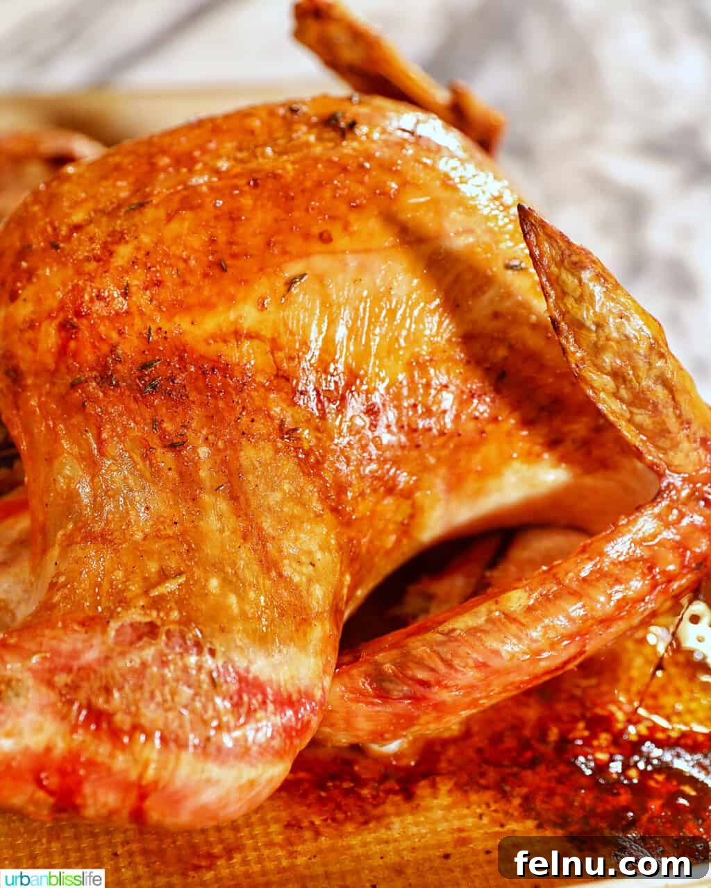 roast turkey side